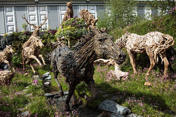 Driftwood sculptures of animals by sculptor James Doran Webb on display at the Chelsea Flower Show in London, England